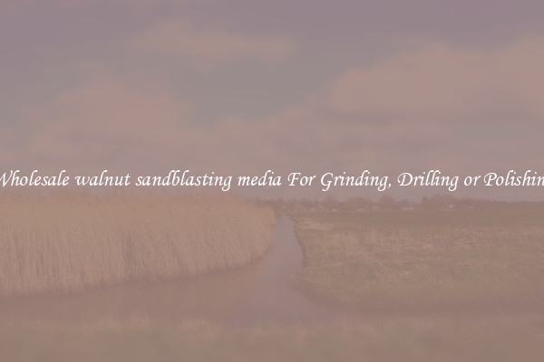 Wholesale walnut sandblasting media For Grinding, Drilling or Polishing