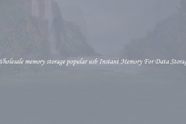 Wholesale memory storage popular usb Instant Memory For Data Storage