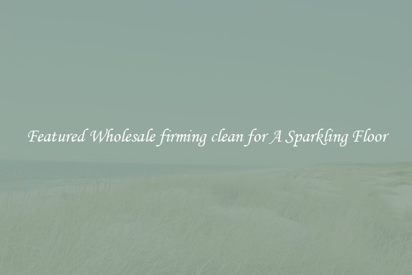 Featured Wholesale firming clean for A Sparkling Floor
