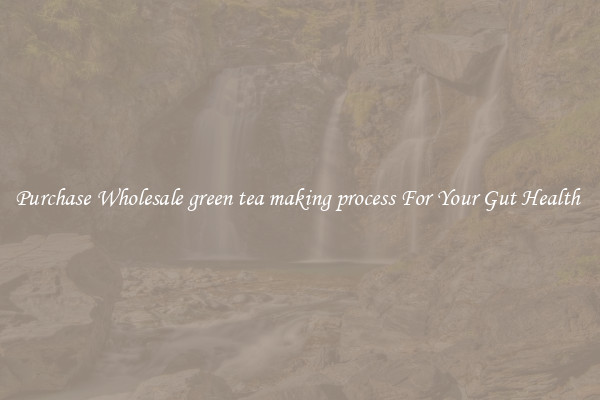 Purchase Wholesale green tea making process For Your Gut Health 