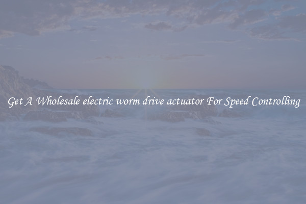 Get A Wholesale electric worm drive actuator For Speed Controlling