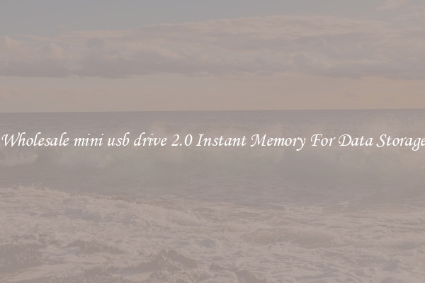 Wholesale mini usb drive 2.0 Instant Memory For Data Storage