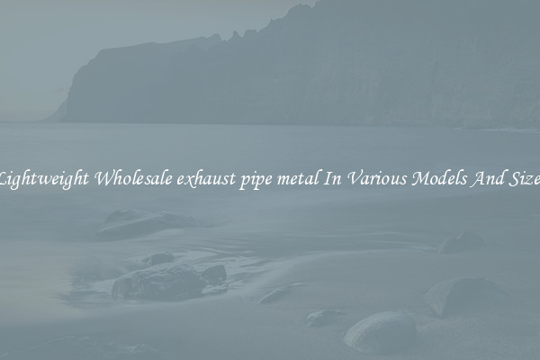 Lightweight Wholesale exhaust pipe metal In Various Models And Sizes