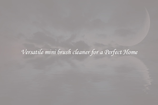 Versatile mini brush cleaner for a Perfect Home