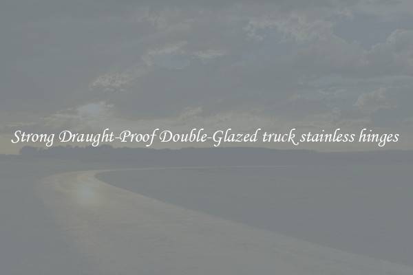 Strong Draught-Proof Double-Glazed truck stainless hinges 