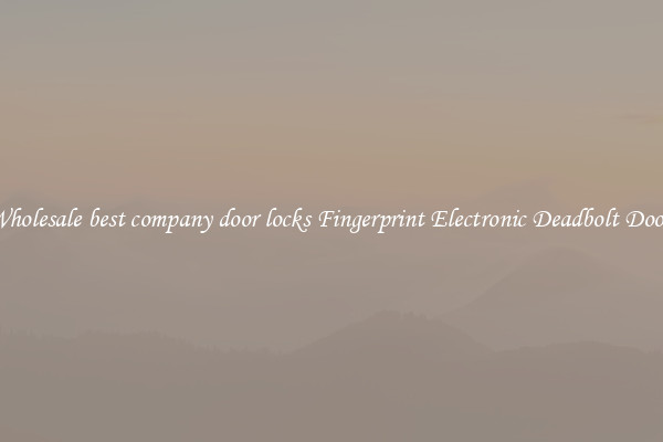 Wholesale best company door locks Fingerprint Electronic Deadbolt Door 