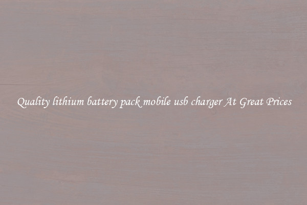 Quality lithium battery pack mobile usb charger At Great Prices