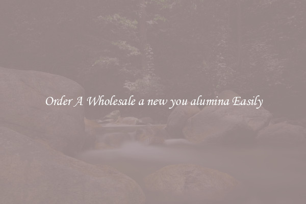 Order A Wholesale a new you alumina Easily