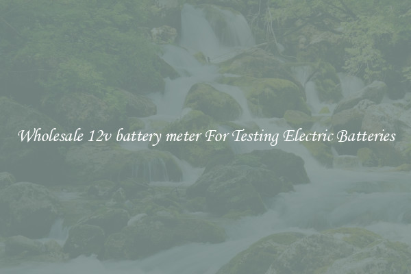 Wholesale 12v battery meter For Testing Electric Batteries