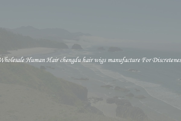 Wholesale Human Hair chengdu hair wigs manufacture For Discreteness