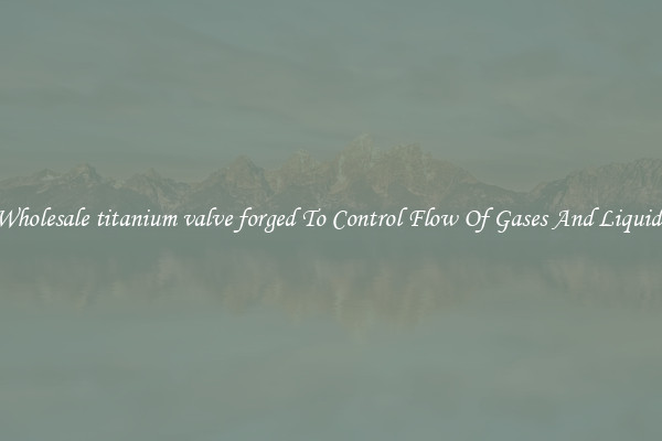 Wholesale titanium valve forged To Control Flow Of Gases And Liquids