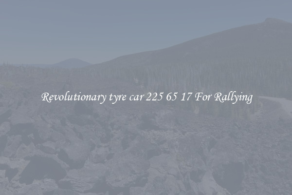 Revolutionary tyre car 225 65 17 For Rallying