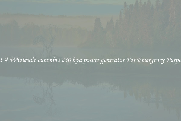 Get A Wholesale cummins 230 kva power generator For Emergency Purposes