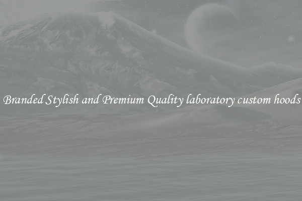 Branded Stylish and Premium Quality laboratory custom hoods