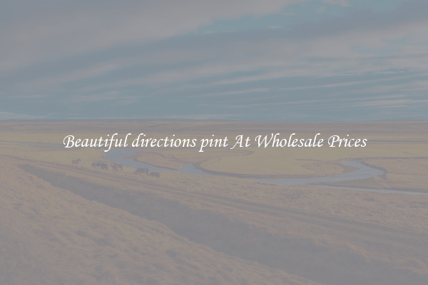 Beautiful directions pint At Wholesale Prices